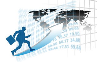 星空体育中国-中国篮球职业联赛赛事运营风险评估与管理对策，篮球赛事安全风险