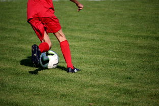 xingkong体育-中国篮球教练员战术创新培训体系，全国篮球教练员岗位培训