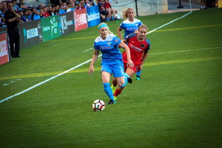 星空体育官网入口-中国篮球职业联赛俱乐部财务风险管理，篮球俱乐部财务制度